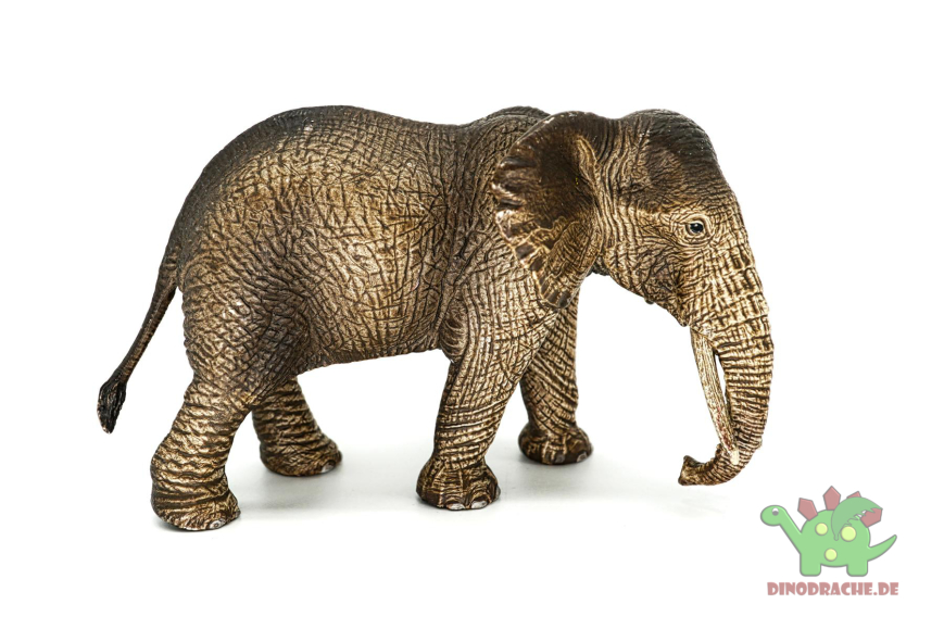 Schleich Afrika Bundle